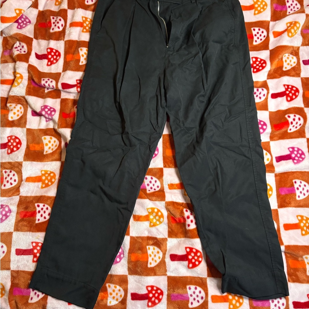 Everlane Black Chinos Straight Leg Cotton Blend
